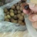 龙眼干正果5A龙眼干批发零售货源充足，品质保障，量大从优