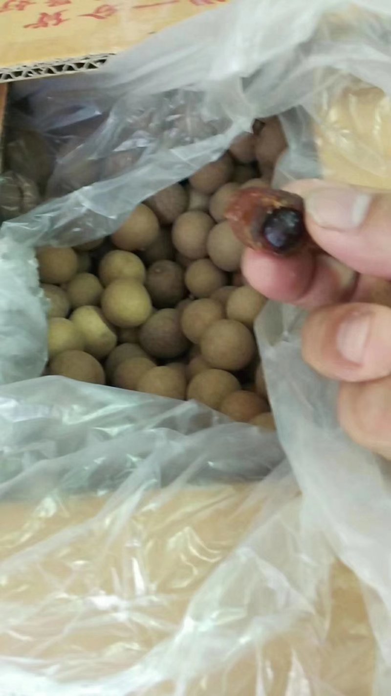 龙眼干正果5A龙眼干批发零售货源充足，品质保障，量大从优