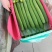 精品丝瓜