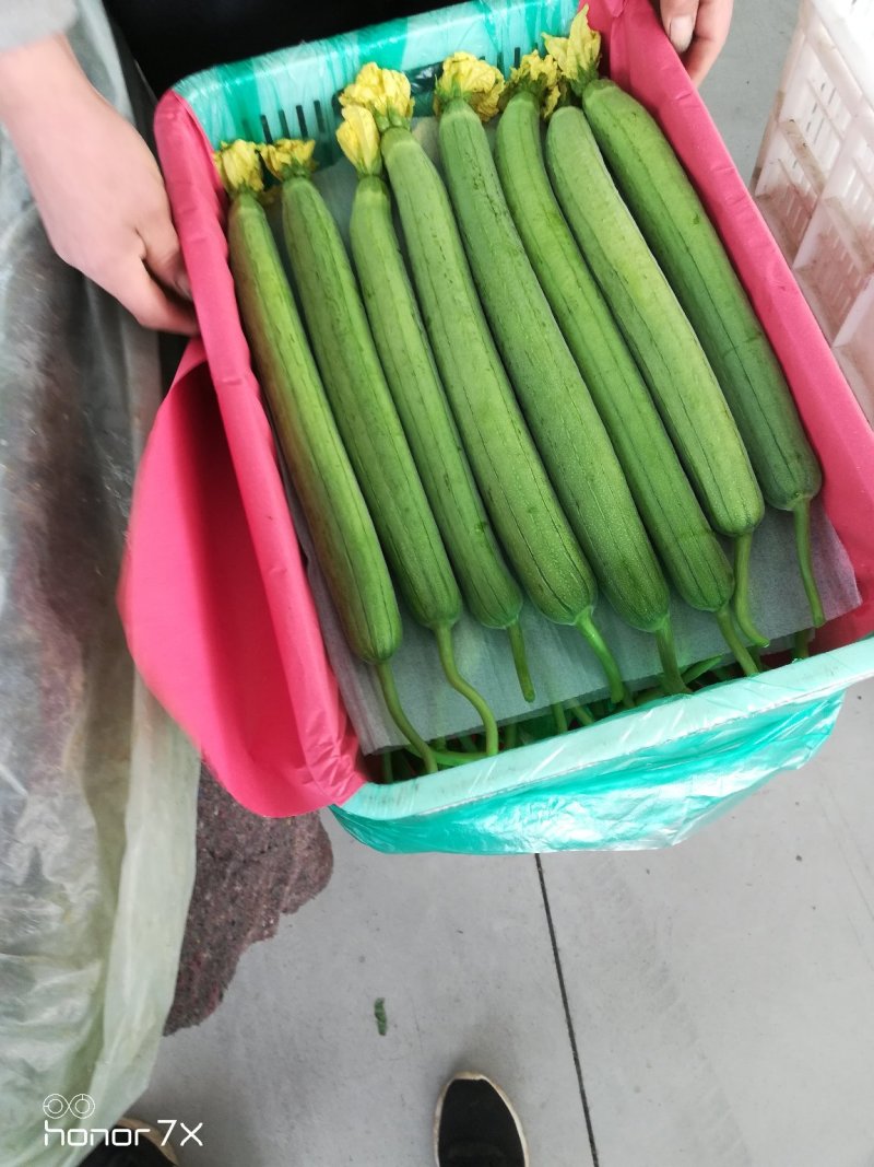 精品丝瓜