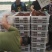 洪湖清水小龙虾监利潜江小龙虾湖虾清水虾小青头2-4钱