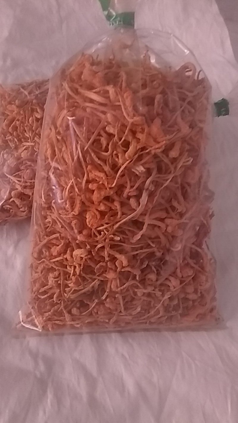 虫草花菌种供应