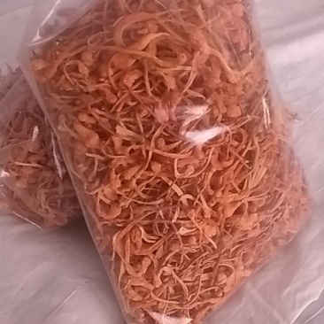虫草花菌种供应