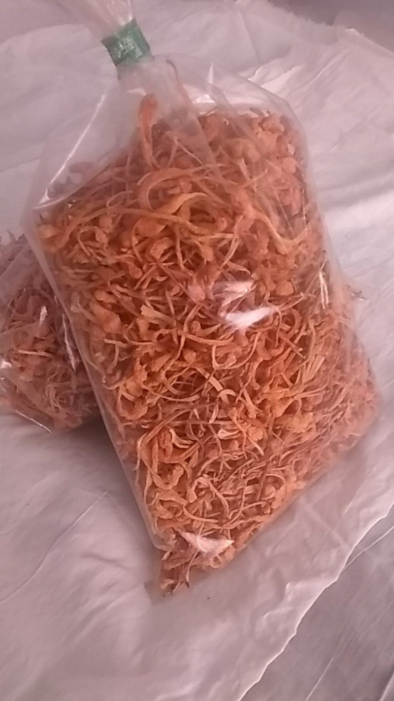 虫草花菌种供应