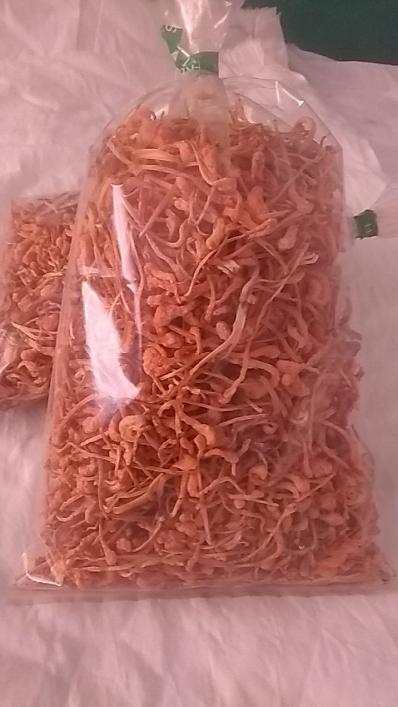 虫草花菌种供应