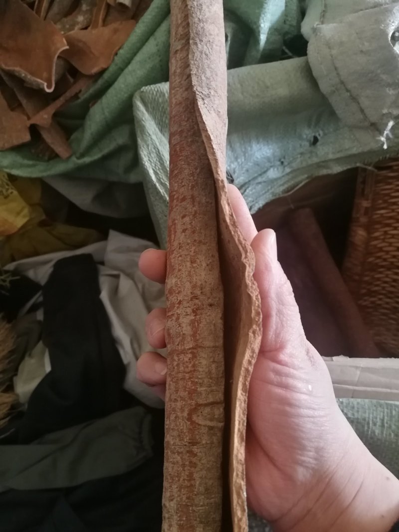 肉桂油桂