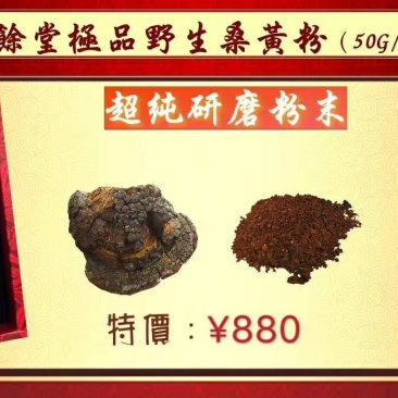 牛樟菇