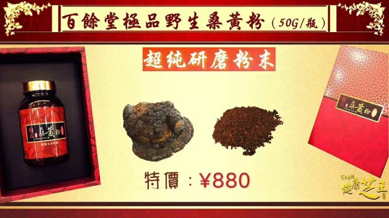 牛樟菇