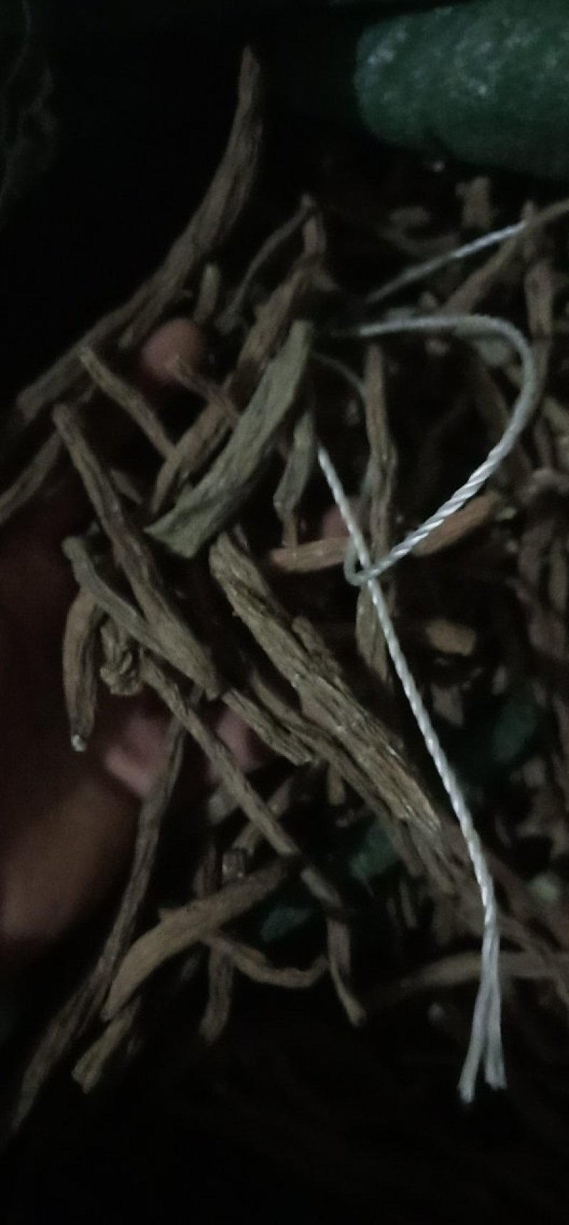 续断