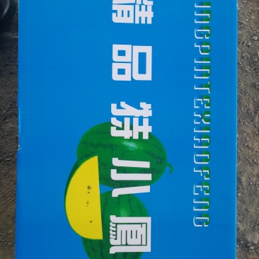 特小凤