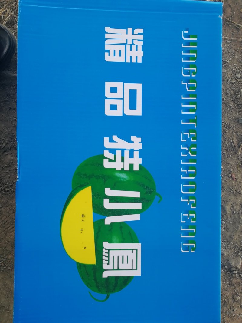 特小凤