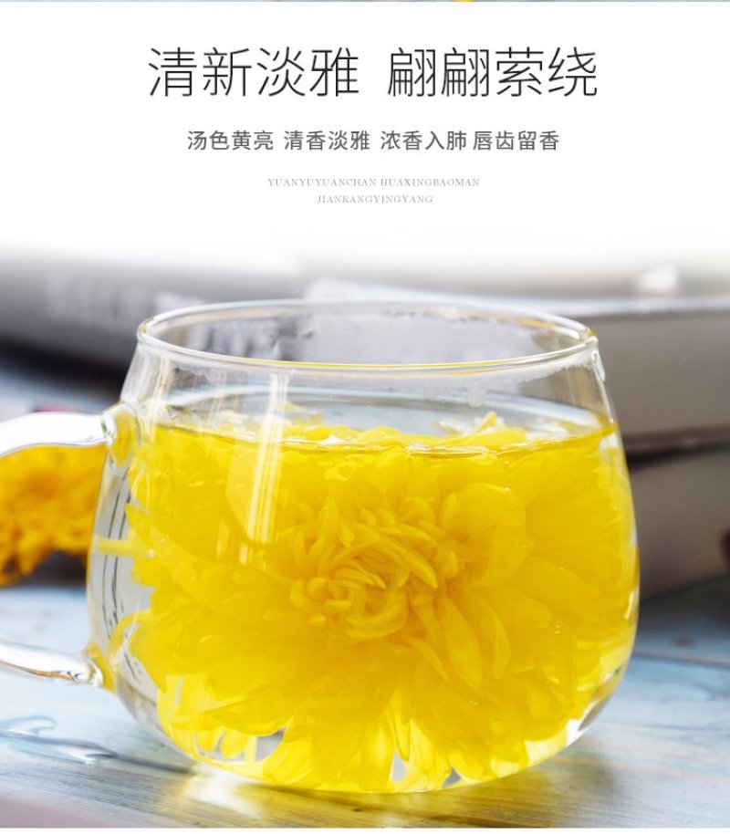金丝皇菊一朵一杯四罐装菊花茶去火茶