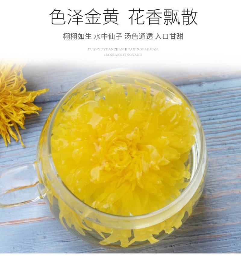 金丝皇菊一朵一杯四罐装菊花茶去火茶
