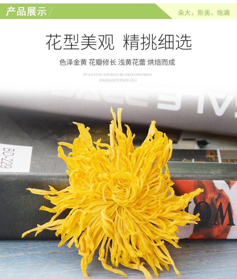 金丝皇菊一朵一杯四罐装菊花茶去火茶