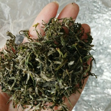 碧螺春茶叶
