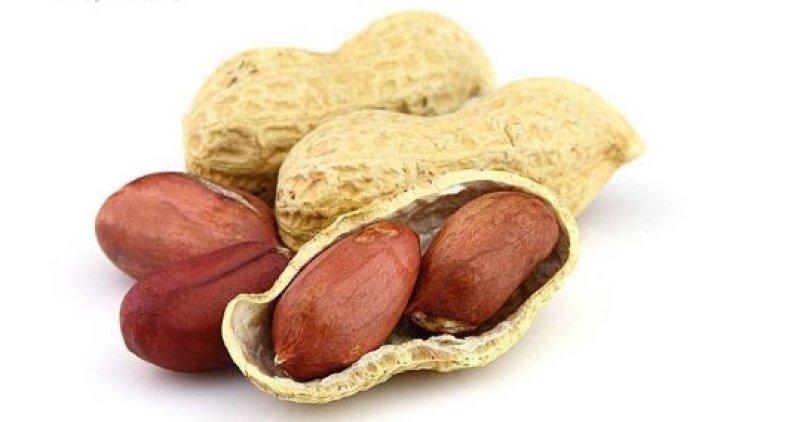 【干货】炒花生原味熟花生大量有货厂家发货原味花生