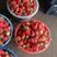 草莓🍓质量最好，价格跌至最低了