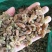 新疆吐鲁番葡萄干零食地摊货源批发