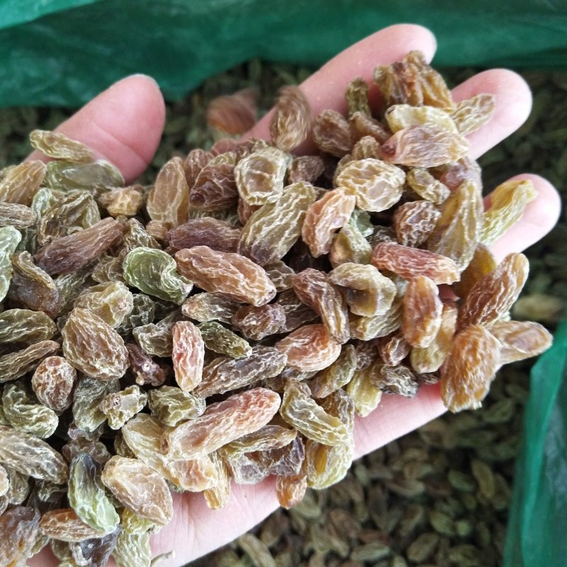 新疆吐鲁番葡萄干零食地摊货源批发
