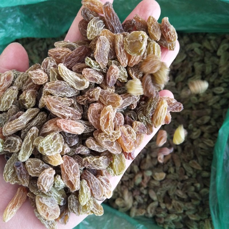 新疆吐鲁番葡萄干零食地摊货源批发