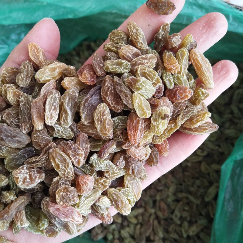 新疆吐鲁番葡萄干零食地摊货源批发