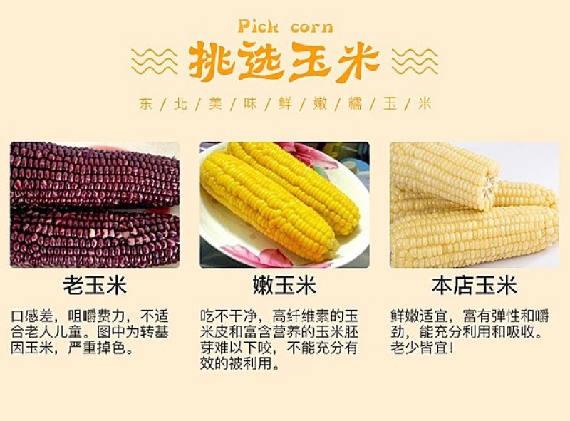 黑龙江富硒真空黄粘玉米10支包邮