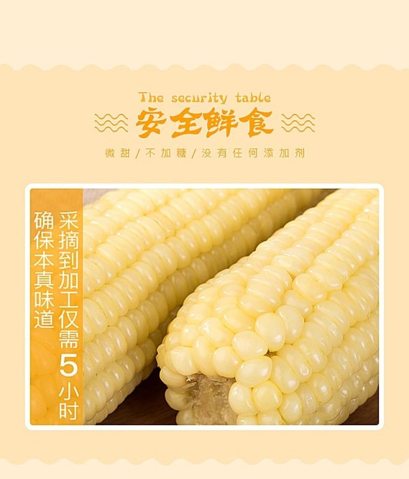 黑龙江富硒真空黄粘玉米10支包邮