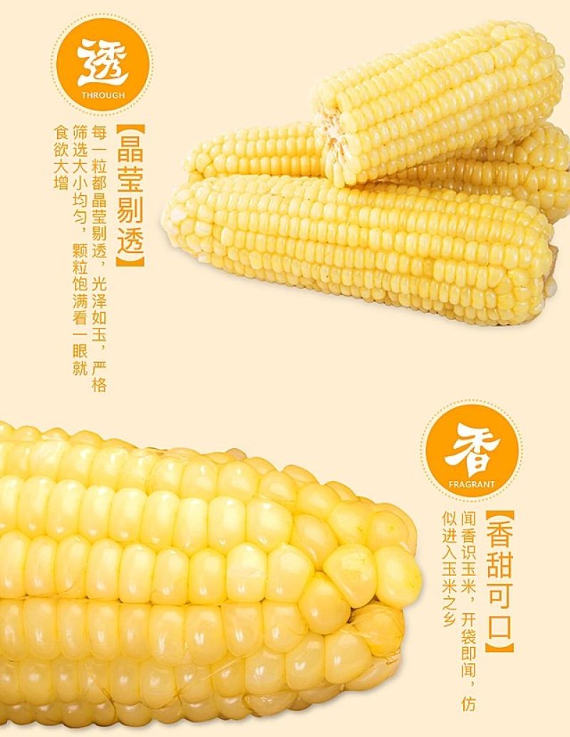 黑龙江富硒真空黄粘玉米10支包邮