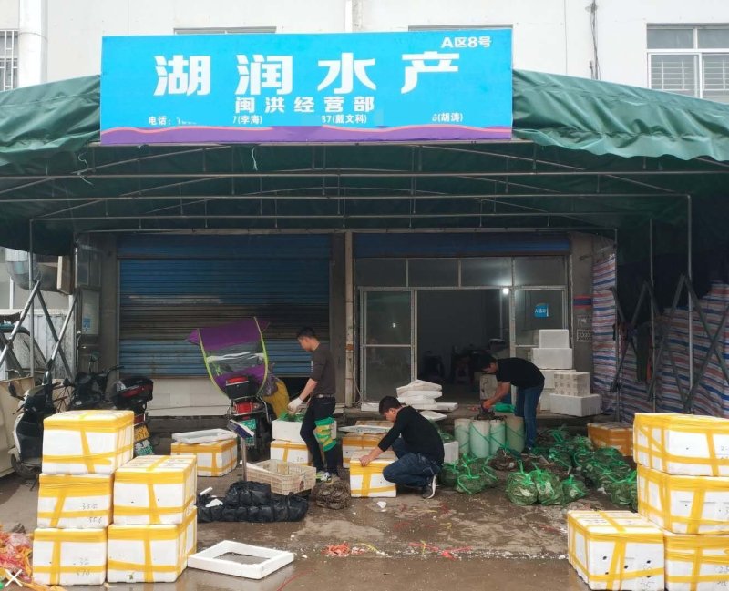 洪湖清水小龙虾监利潜江小龙虾湖虾清水虾小青头2-4钱