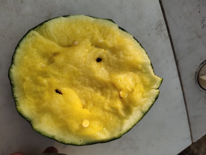 富硒西瓜