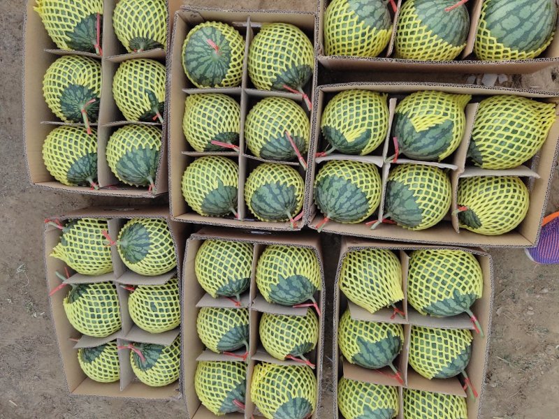 富硒西瓜