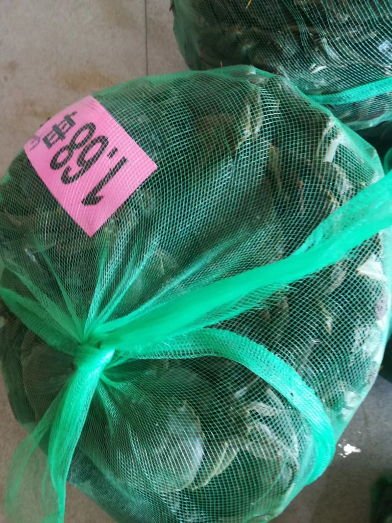 大闸蟹一手货源