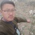 现挖现发的梨树