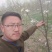现挖现发的梨树