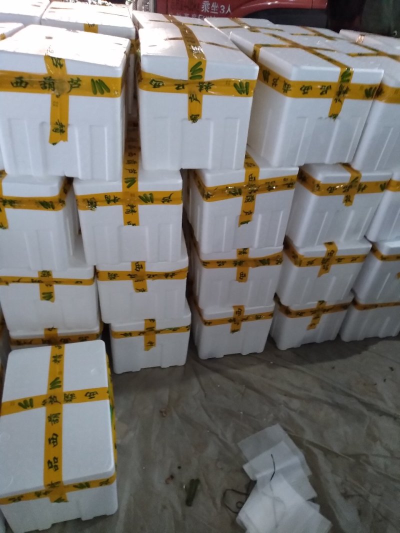 万亩西葫基地，油绿西葫大量上市中，一手货源，全天供货，