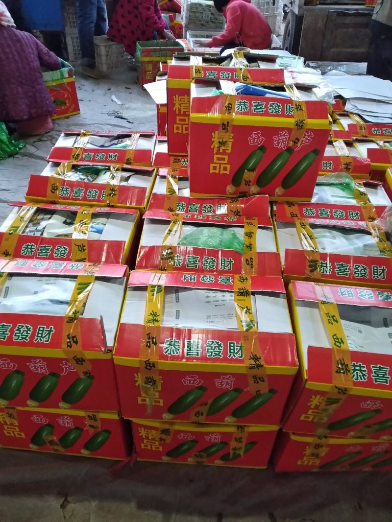 万亩西葫基地，油绿西葫大量上市中，一手货源，全天供货，