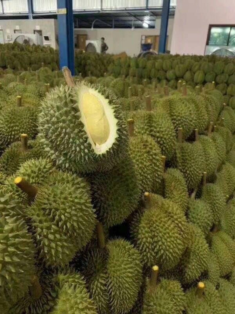 榴莲