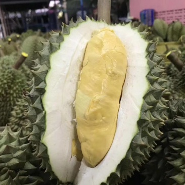 榴莲