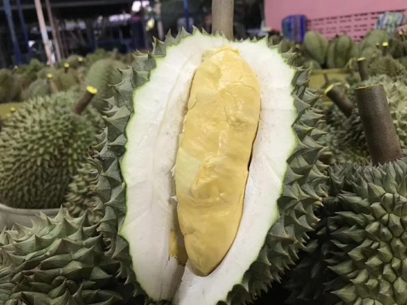 榴莲