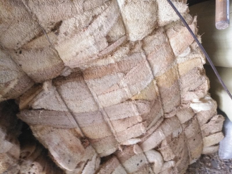 丝瓜络大货，常年主营白茅根，决明子，货干，质量好，