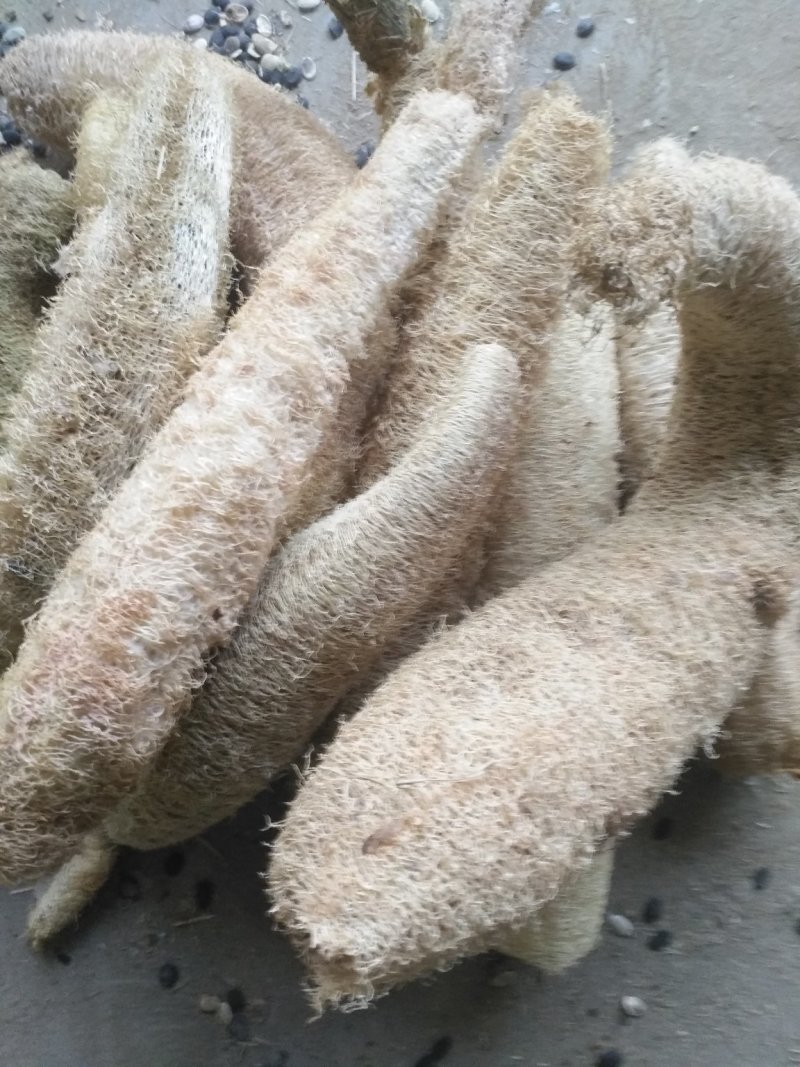 丝瓜络大货，常年主营白茅根，决明子，货干，质量好，
