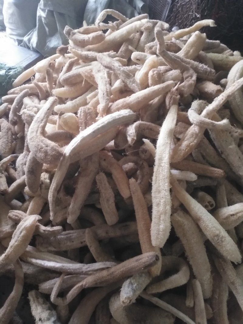 丝瓜络大货，常年主营白茅根，决明子，货干，质量好，