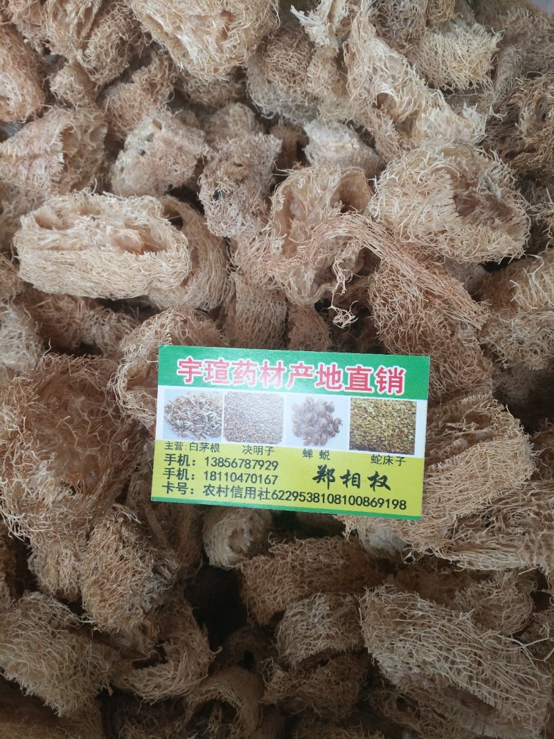 丝瓜络大货，常年主营白茅根，决明子，货干，质量好，