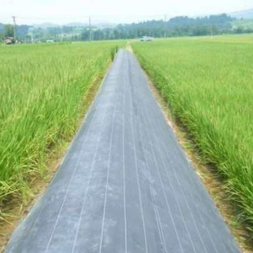 防草布