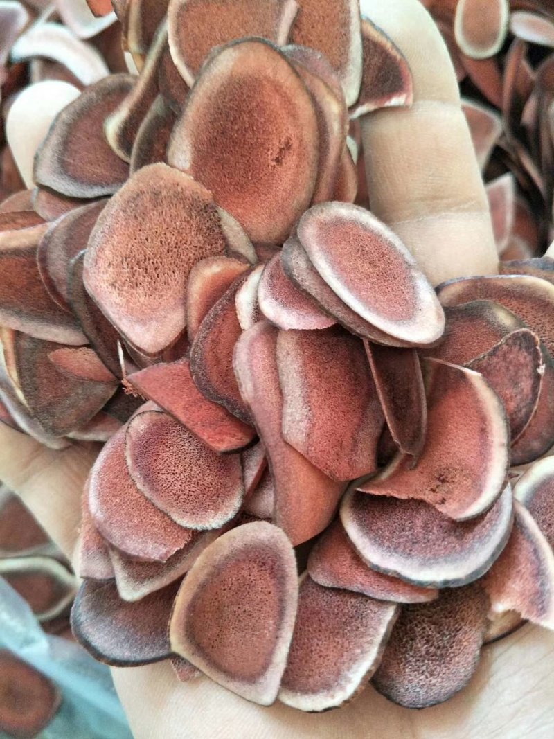 鹿茸片