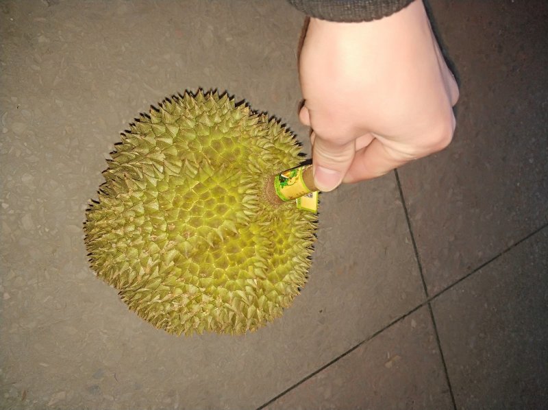 甲仑榴莲