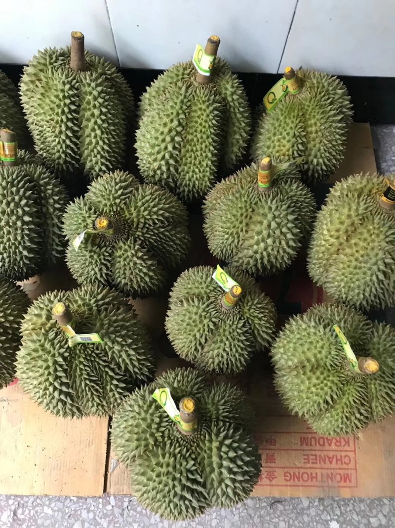 甲仑榴莲