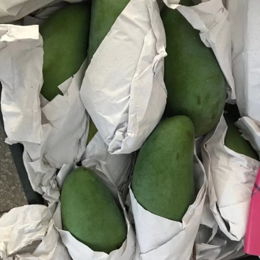 泰国进口大青芒