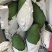 泰国进口大青芒