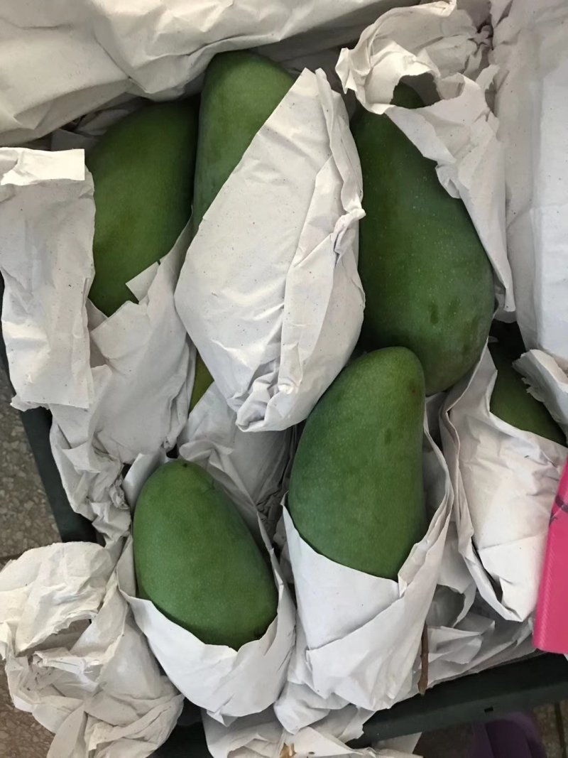 泰国进口大青芒